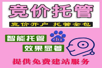 百度推广平台操作技巧：案例分享，提升广告转化
